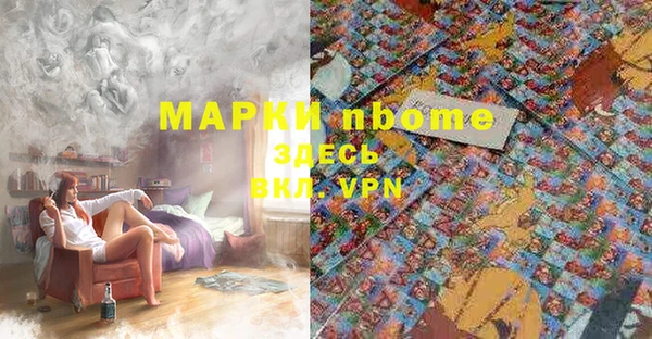твердый Богородск