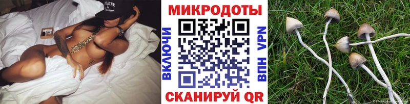 Купить  Семёнов  Псилоцибиновые грибы ЛСД 